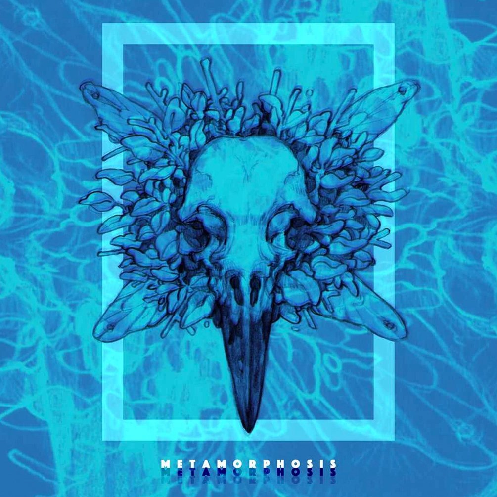 "METAMORPHOSIS" Inktober 2017 Zine (DIGITAL)