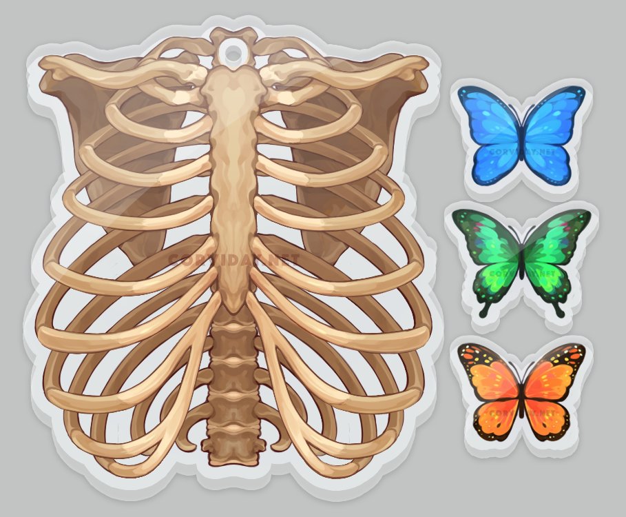 "Ribcage" Acrylic Shaker Charm